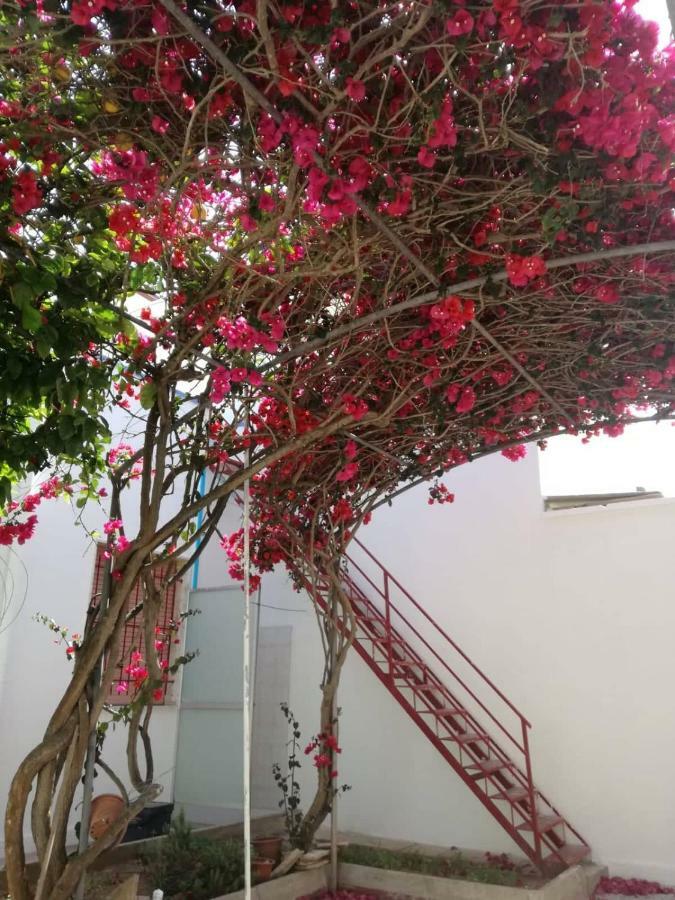 La Casa Di Peter Villa Torre Lapillo Dış mekan fotoğraf